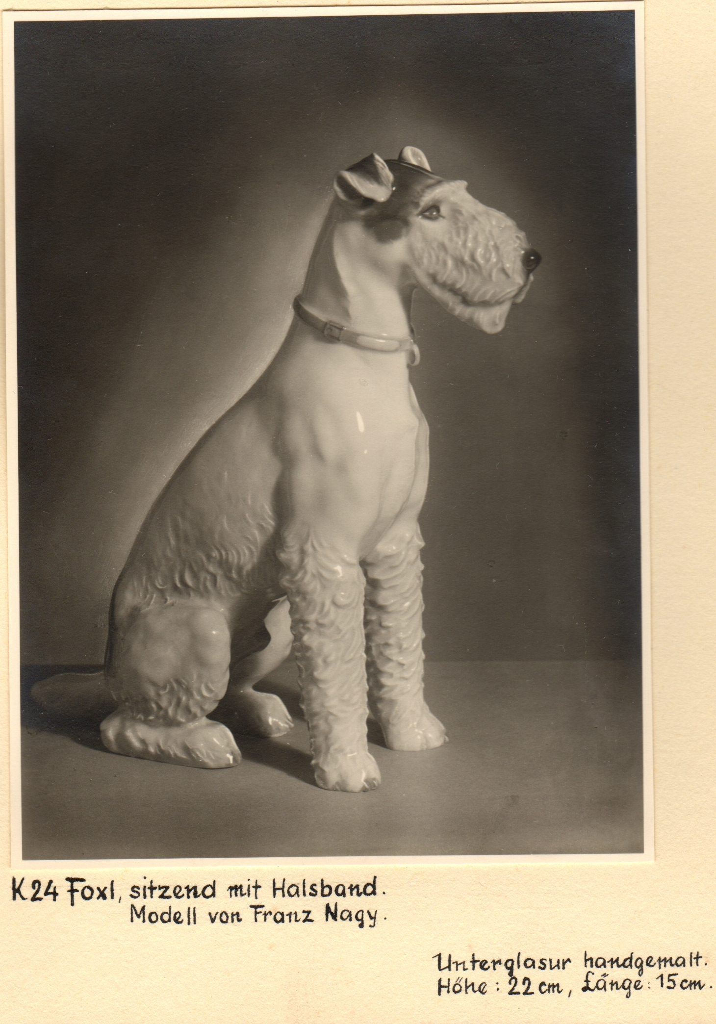 Historische Fotokarte eines sitzenden Foxterriers mit Halsband; handschriftliche Legende K 24 und Modell von Franz Nagy.