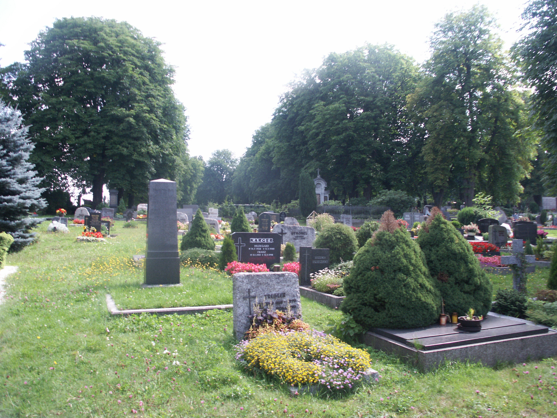Wege und Grabfelder. Bäume, Hecken und unterschiedliche Grabmale prägen den Friedhof. Bildserie 2005.