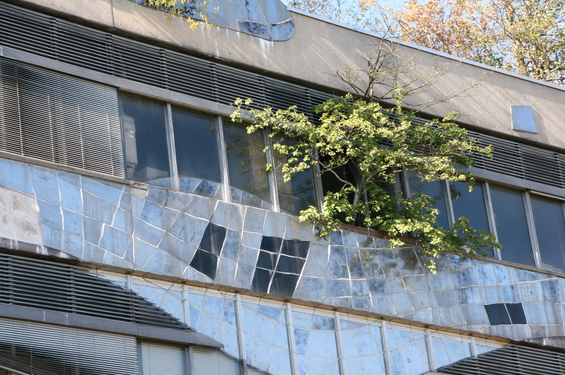 Baum wächst aus einer Öffnung in Hundertwassers Rosenthal-Fassade; darunter wellenförmig verlegte Keramikplatten.